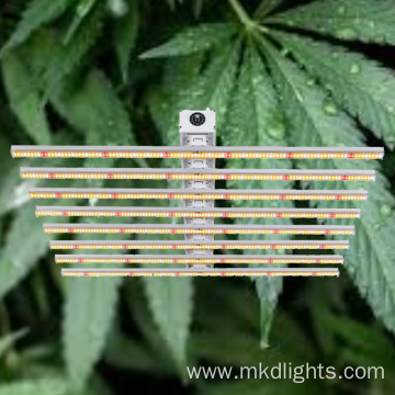 6400K Led Grow Light Green Custom